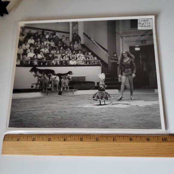 Vintage Black and White Photograph Clyde Beatty Circus 1973 Canine Circus Act - Picture 15 of 16
